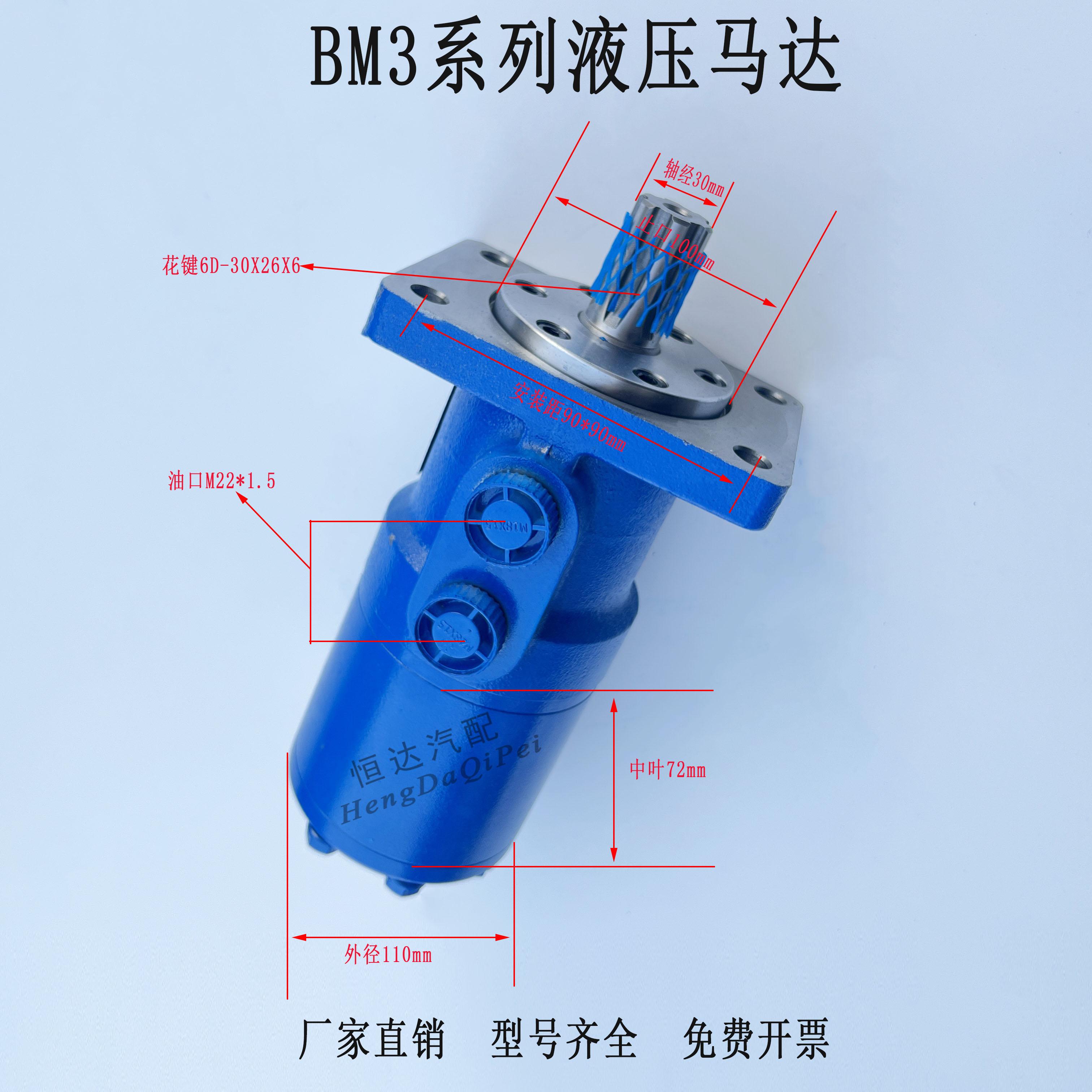 BM3液压马达R100/12564摆