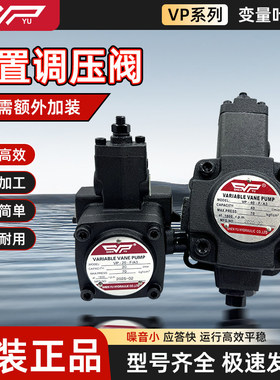 SHENYU台湾神煜VP-20-FA3 VP-40-FA3 VP-15/30-FA3/FA2/F液压油泵