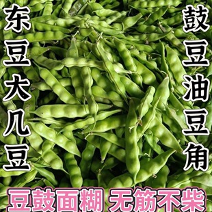 东北松原大几豆 东北蔬菜松原大几豆 鼓豆老式油豆角几豆角包邮
