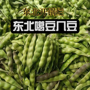 东北松原大几豆豆角油豆九月蔬菜鼓豆老式开锅新鲜包邮