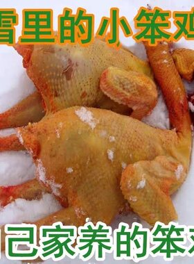 [溜达鸡]正宗东北小笨鸡农家大公鸡吉林土鸡特产新鲜现杀散柴鸡
