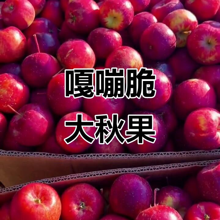 东北特产龙丰果正宗大秋果沙果酸苹果