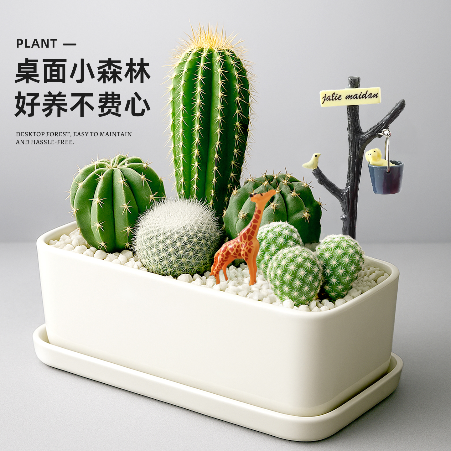 奇趣绿洲DIY减压微景轻松好心情