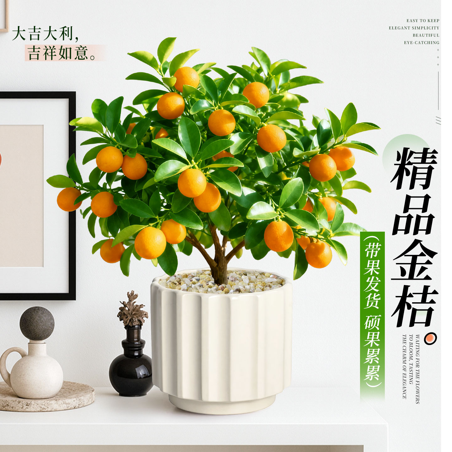 金桔盆栽植物带果绿植花卉树苗老桩四季室内客厅桌面好养即赏盆景