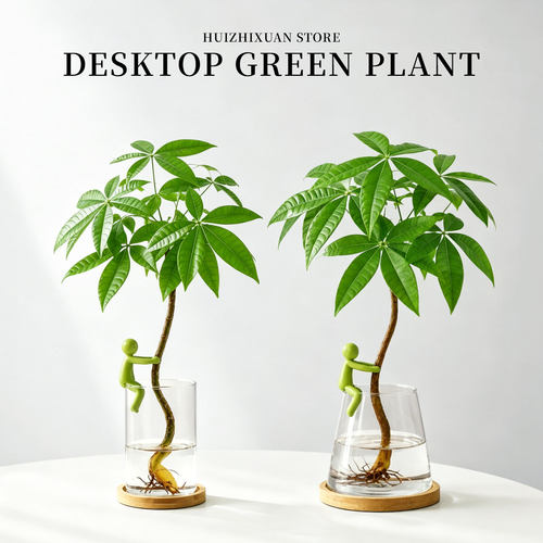 水培发财树创意治愈情绪绿植摆件