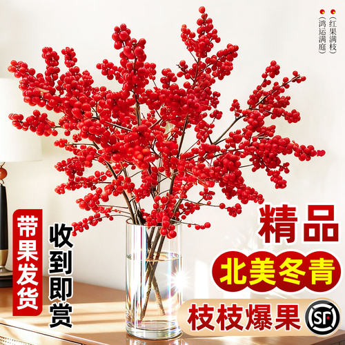 网红红果插瓶即活随意摆放