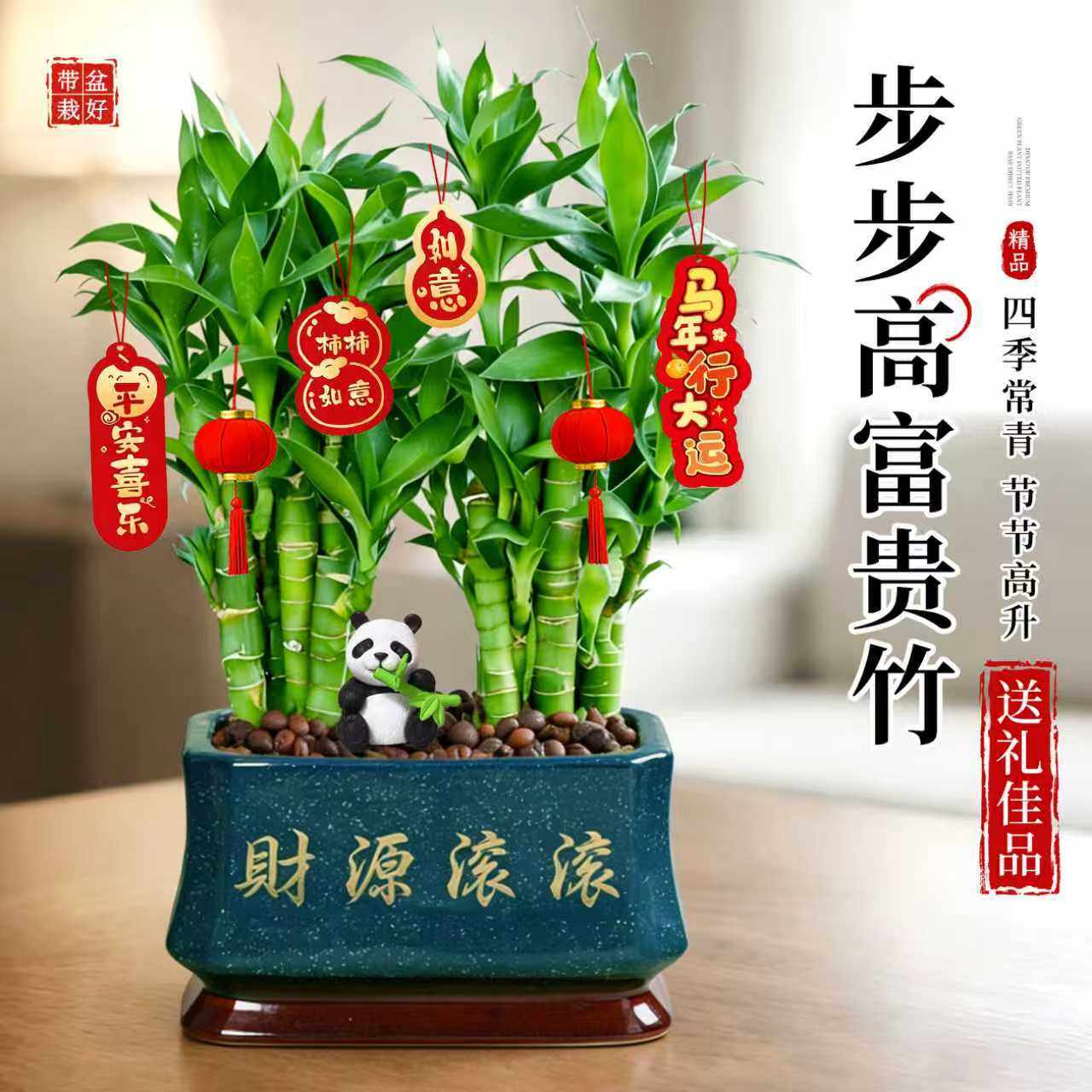 步步高富贵竹盆栽旺宅植物客厅桌面摆台招财绿植办公室内盆景送礼