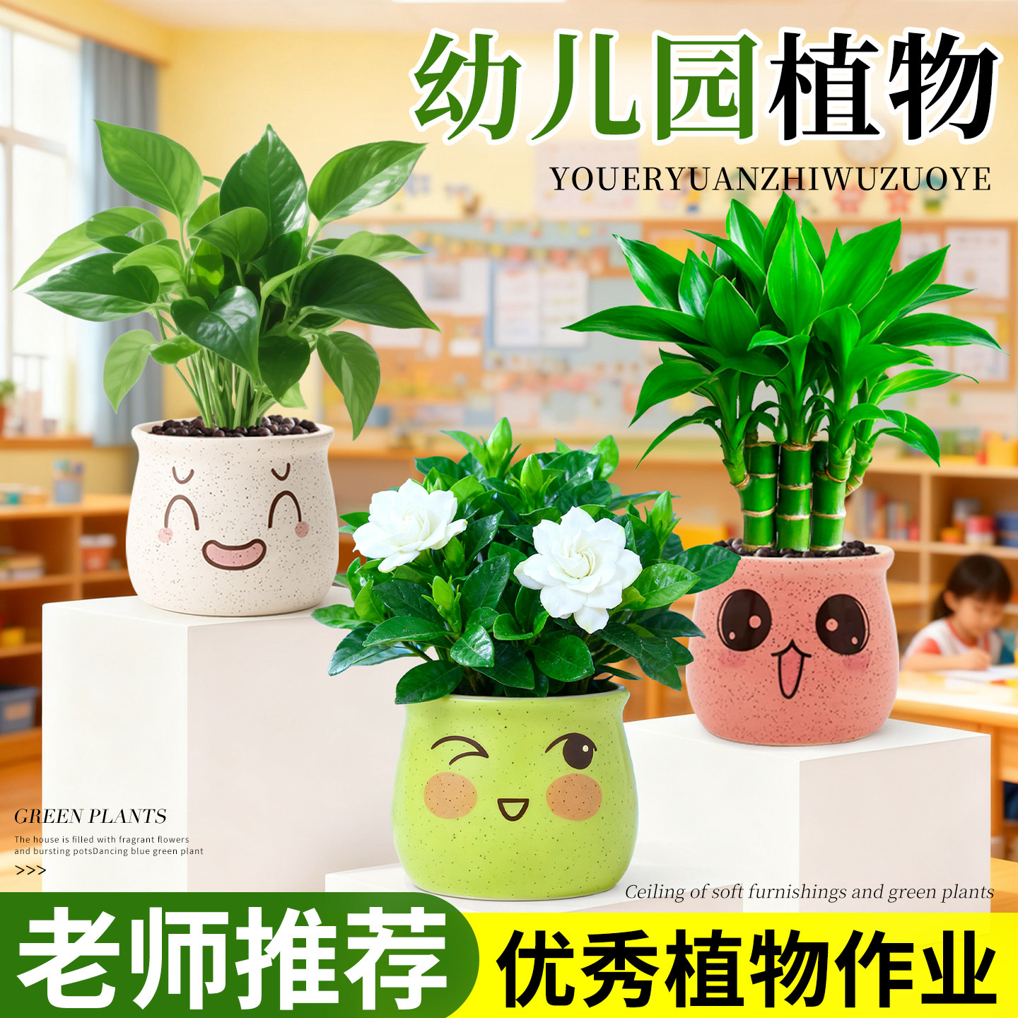 幼儿园植物小朋友种植盆栽办公室桌面绿植摆件栀子花四季净化空气