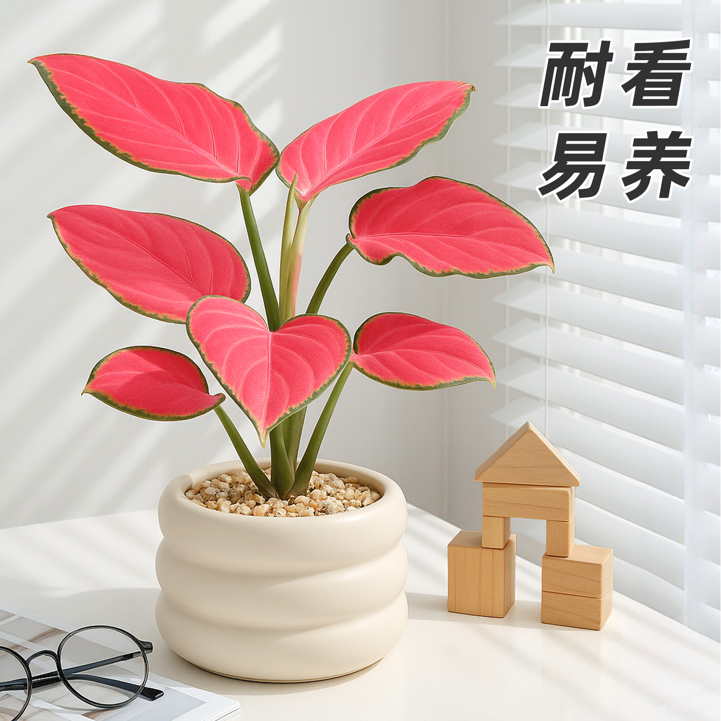 吉利红大吉大利红红火火