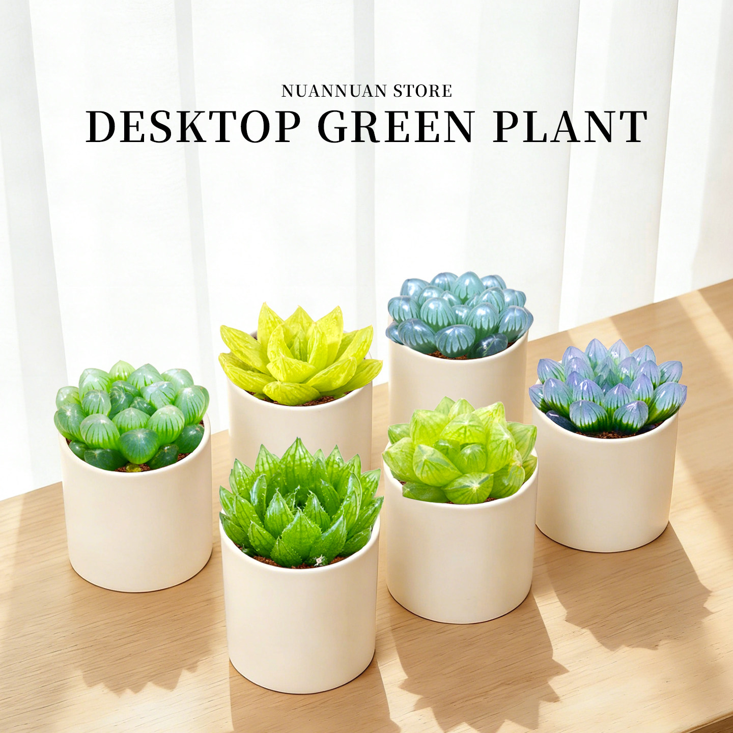 玉露植物组合高端多肉绿植办公室内阳台小盆栽大颗好养活稀有品种