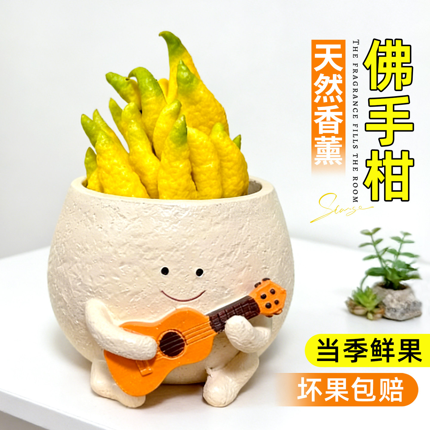 佛手柑摆件鲜果闻香天然佛手果绿植办公室内客厅桌面植物花卉四季