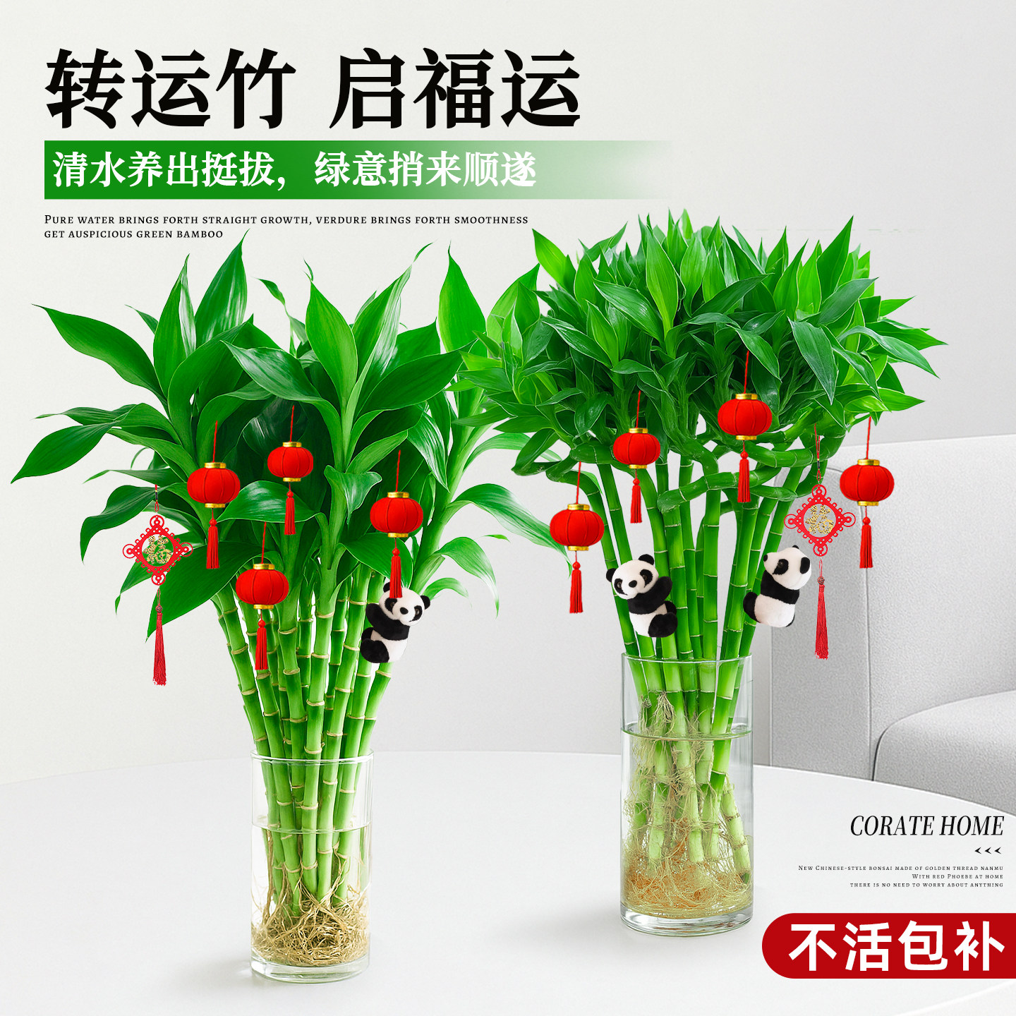 富贵竹水培绿植物盆栽文昌竹转运竹子高办公室内桌面客厅好养招财