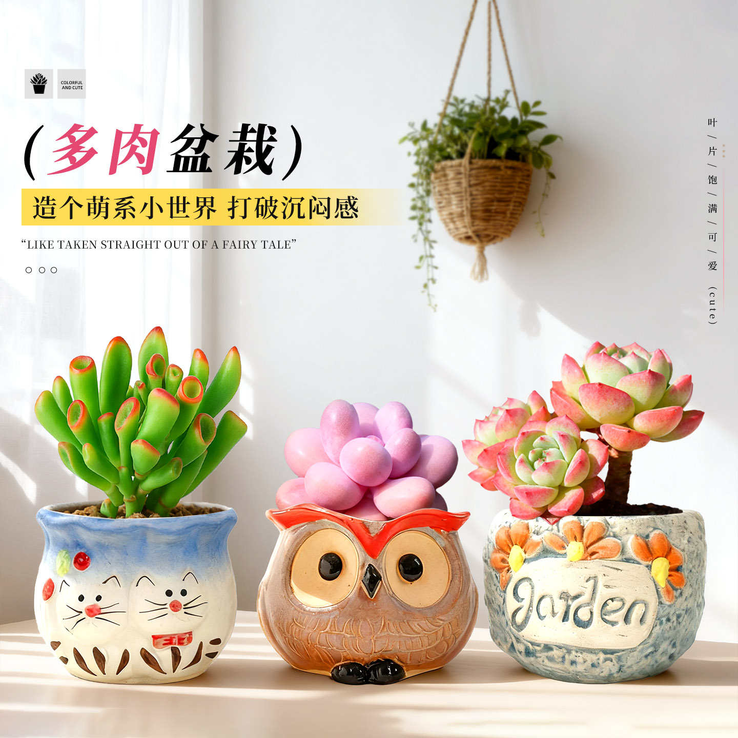 温馨的解压神器|可爱多肉盆栽