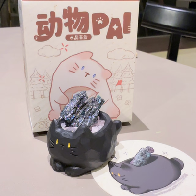 网红爆款盲盒2025新款女孩礼物