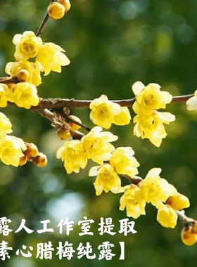 素心纯露补水提亮肤色CLR/采露人