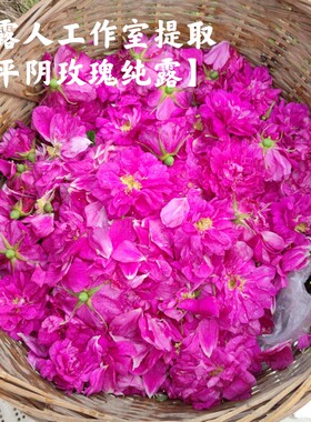 平阴玫瑰纯露CLR/采露人补水