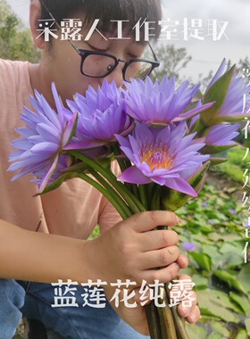蓝莲花纯露纯露CLR/采露人
