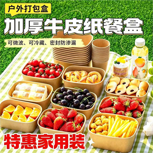 春游野餐盒一次性餐盒户外果切打包盒露营盒子水果寿司轻食便当盒