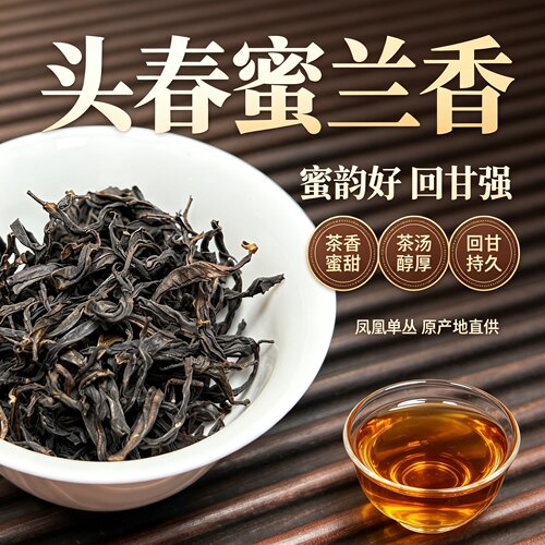潮州凤凰单枞茶头春蜜兰香新茶中熟火单丛茶凤凰单丛潮汕茶叶500g