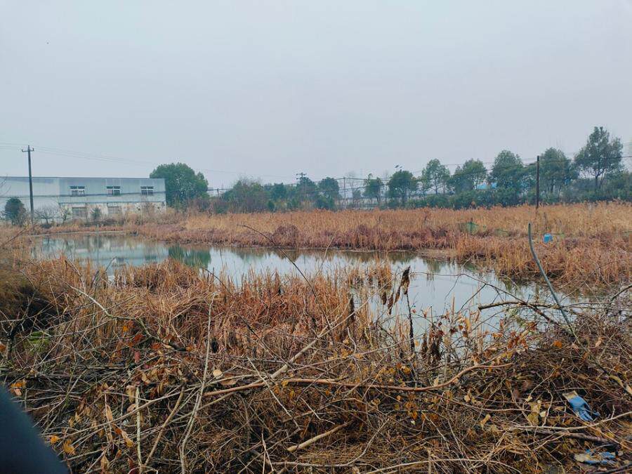 4月2日六安市合作社蔬菜大棚、废旧钢管、彩钢房等相关资产网络拍卖公告