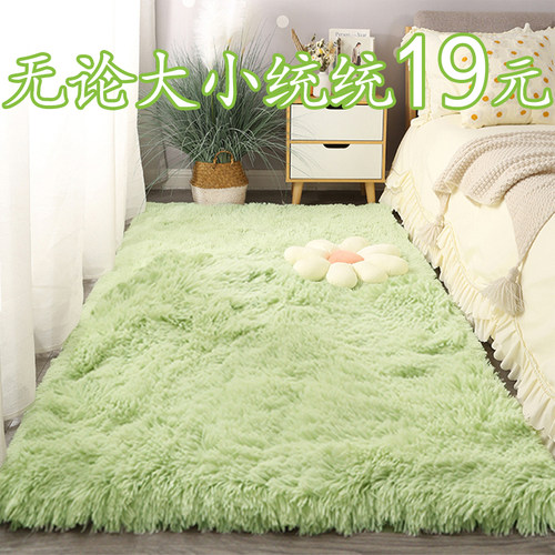 卧室地毯无论大小只要19元一张