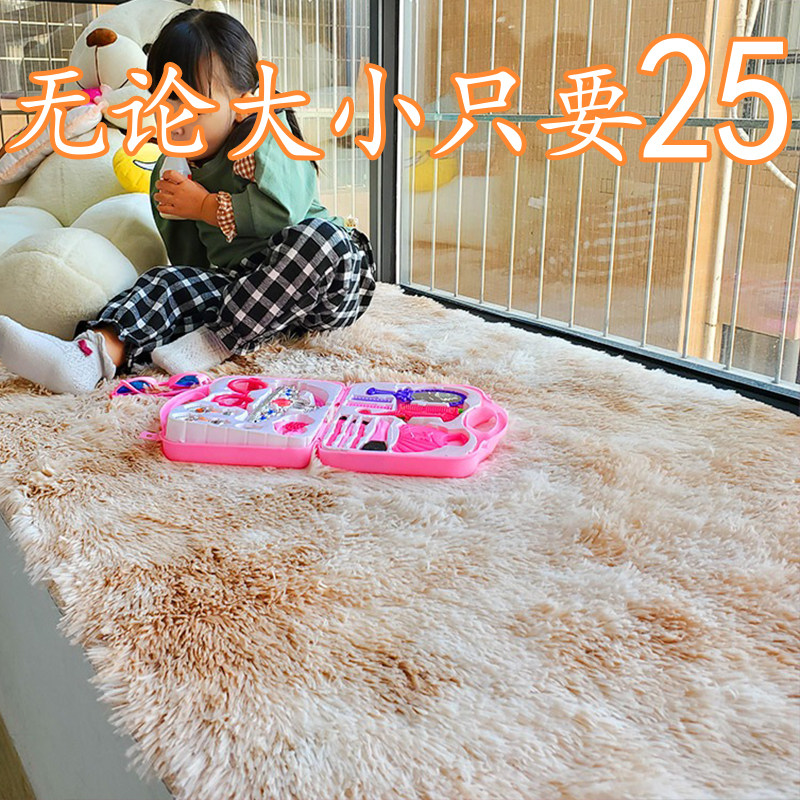 地毯卧室床边毯客厅满铺大面积毛毯垫子家用少女房间宿舍民宿地垫