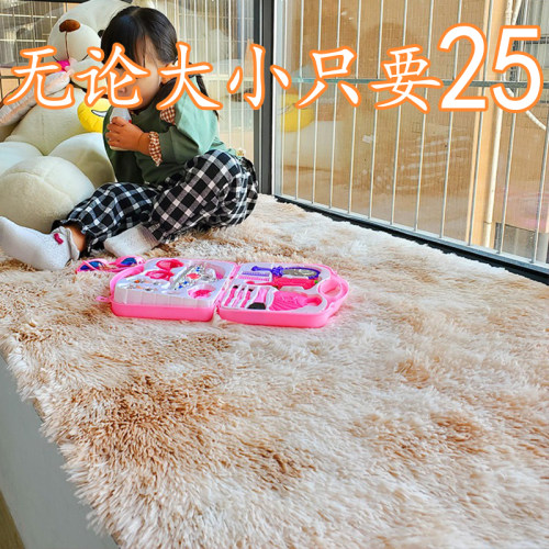 地毯卧室床边毯客厅满铺大面积毛毯垫子家用少女房间宿舍民宿地垫