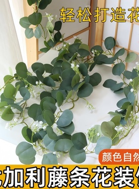 仿真植物绿色藤蔓婚礼派对装饰藤条尤加利藤桉树叶居家装饰常春藤