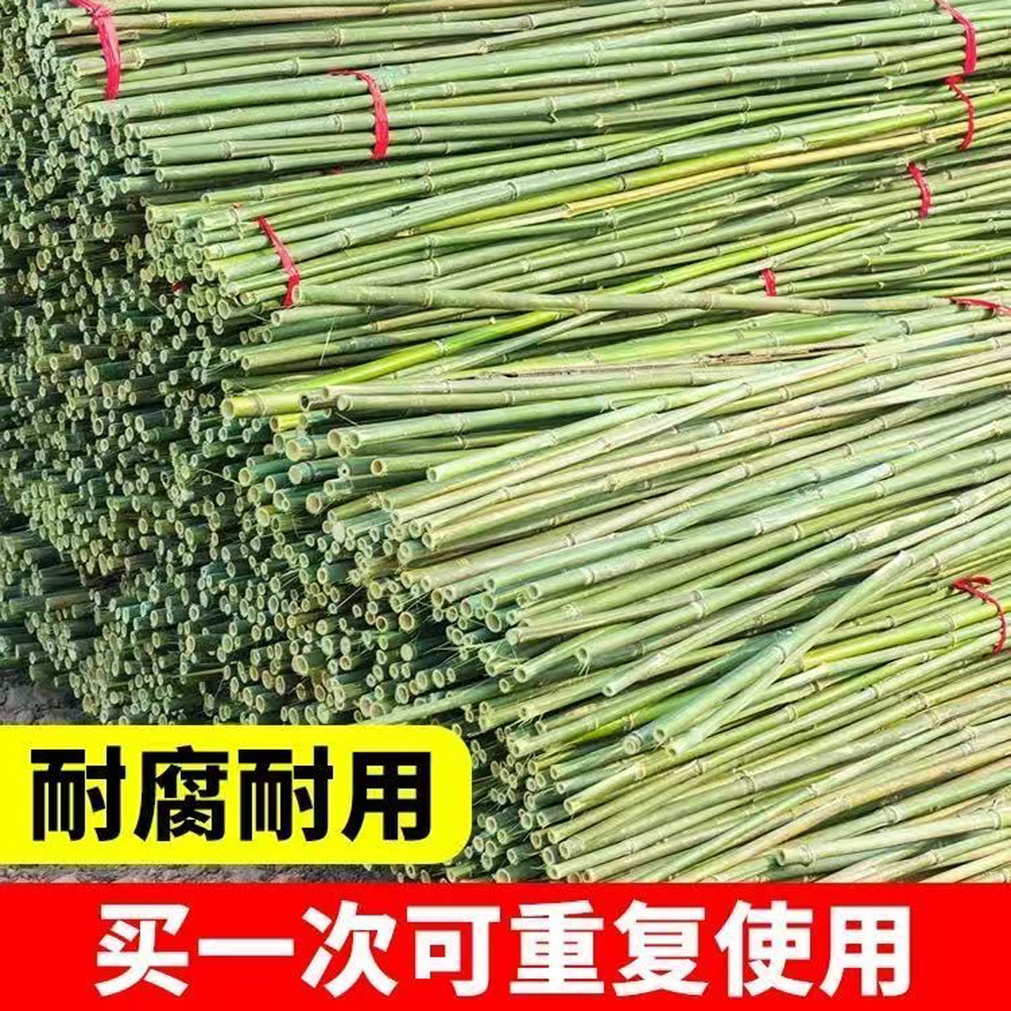 整根竹竿去皮打磨光滑家用菜园瓜果爬藤架豆角黄瓜番茄园艺搭架杆