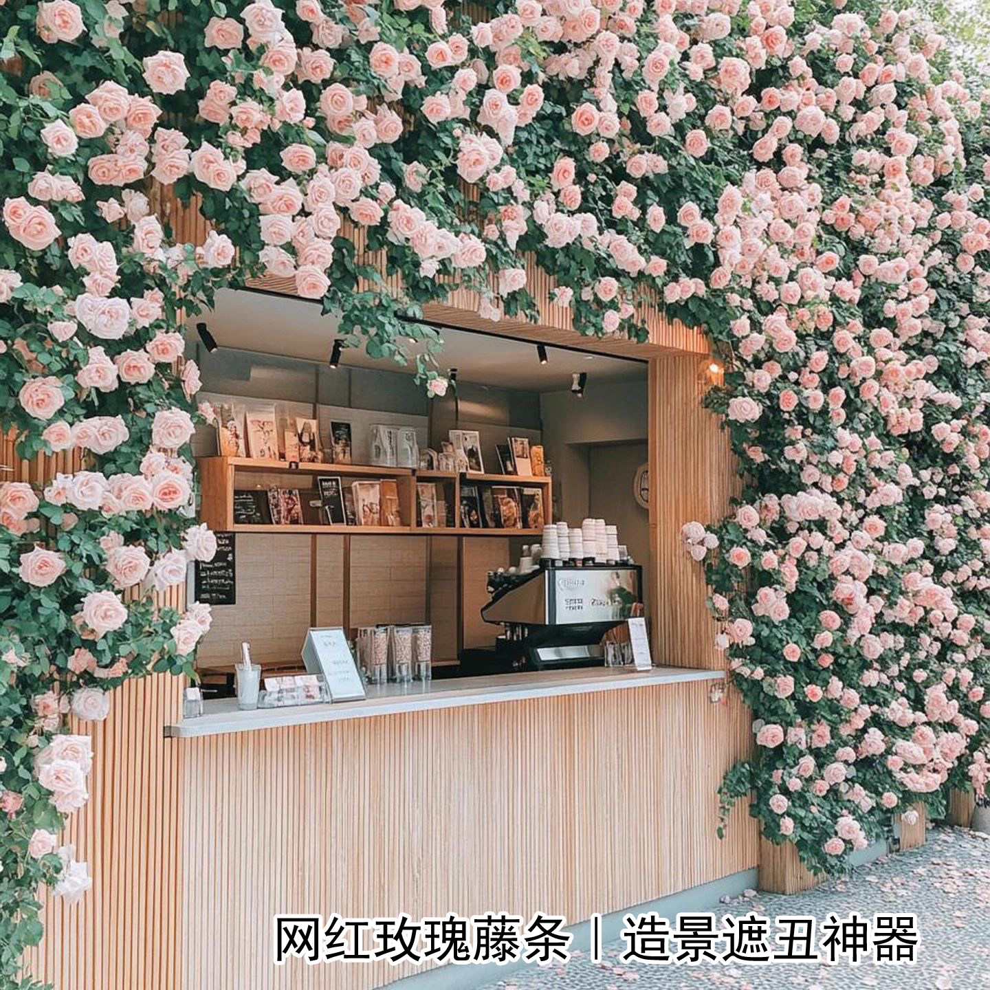 仿真莫奈玫瑰假花垂吊长款藤蔓民宿店铺墙面造景网红管道遮挡花艺