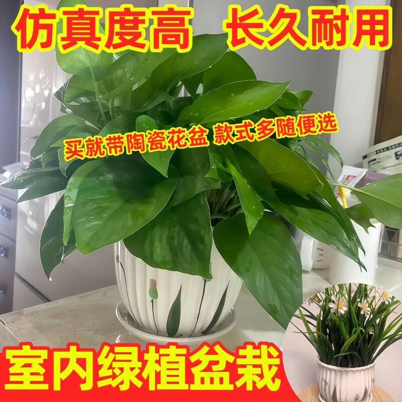 新办公室植物装饰套装摆件绿植盆栽仿真摆设仿真家居客厅绿萝花草