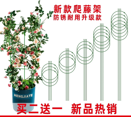 rte其他ho/攀铁球杆盆月