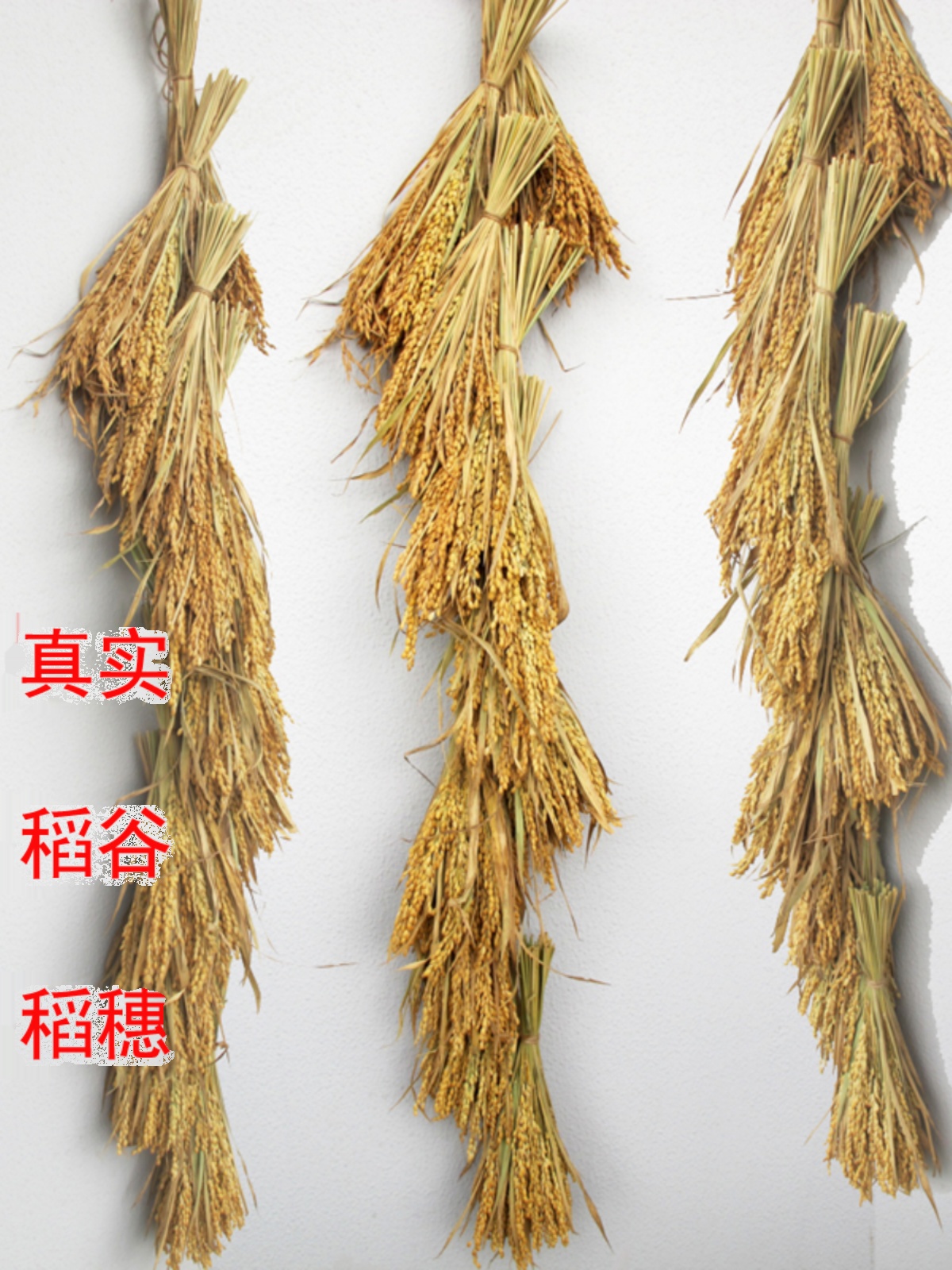 天然真实稻谷稻穗干花稻子水稻农家乐户外庭院挂串五谷丰登装饰