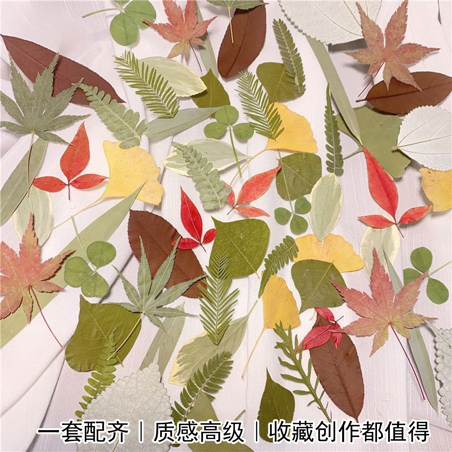 齐全叶片组合包滴胶手机壳布景