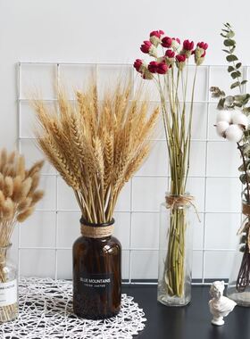 干花花束麦穗棉花兔尾满天星尤加利情人草玫瑰黄金球