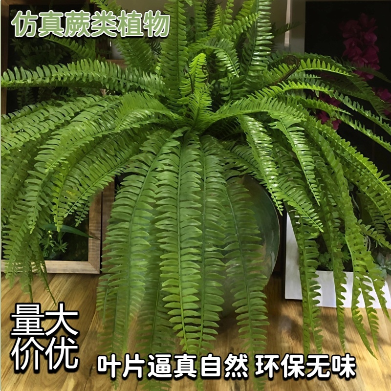 仿真绿植塑料蕨叶菠草肾蕨山草背景墙餐厅酒店婚庆装饰长垂挂排草