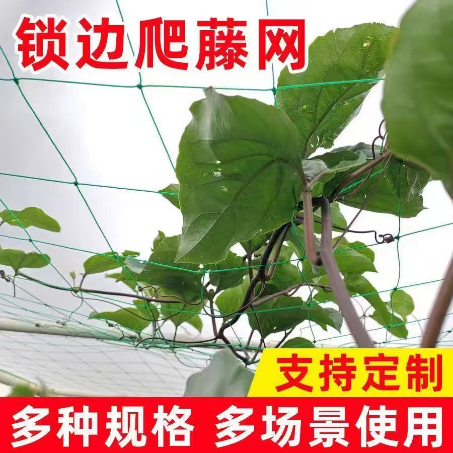 植物爬藤网百香果丝瓜吊瓜葡萄黄瓜花卉月季蔬果菊花攀爬网种植网