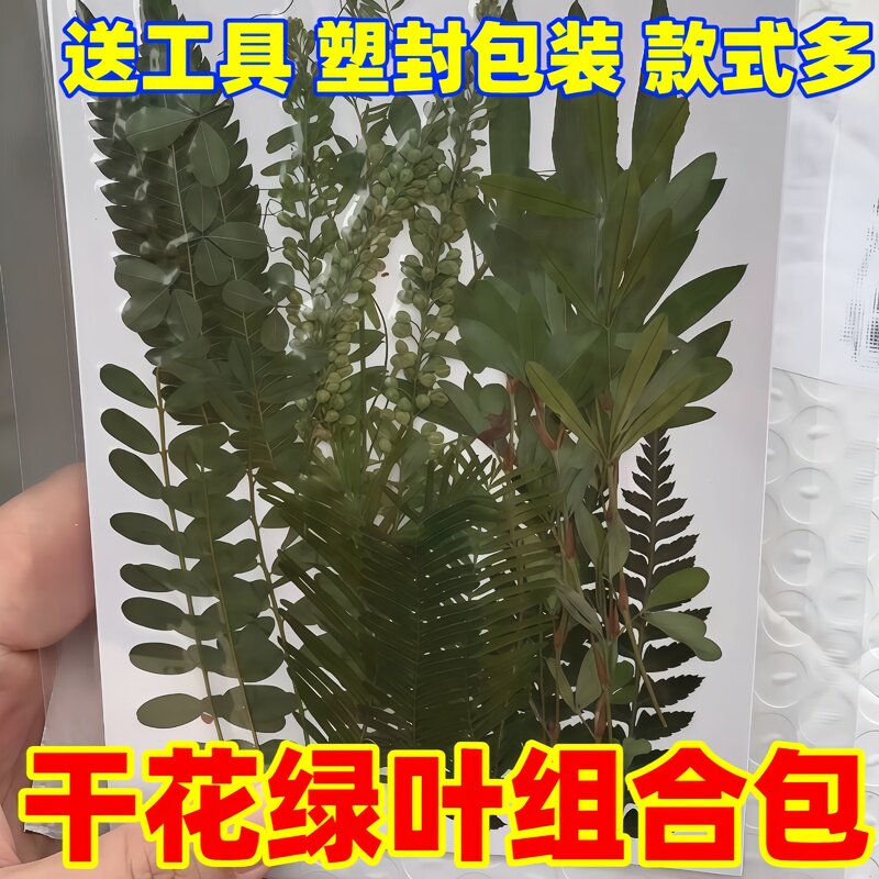 真干花diy幼儿园手工材料真花植物标本书签写真干花相框滴胶杯垫