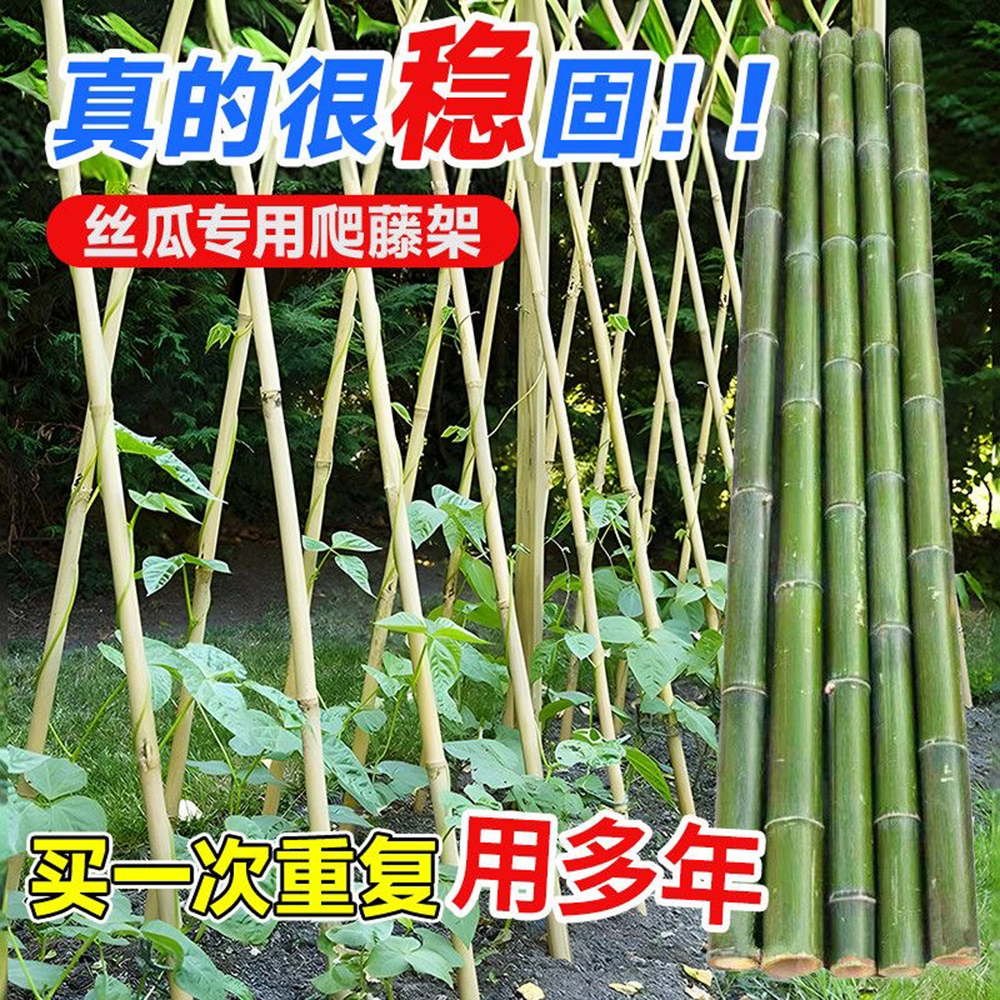 光滑不伤植株竹竿庭院菜园搭架
