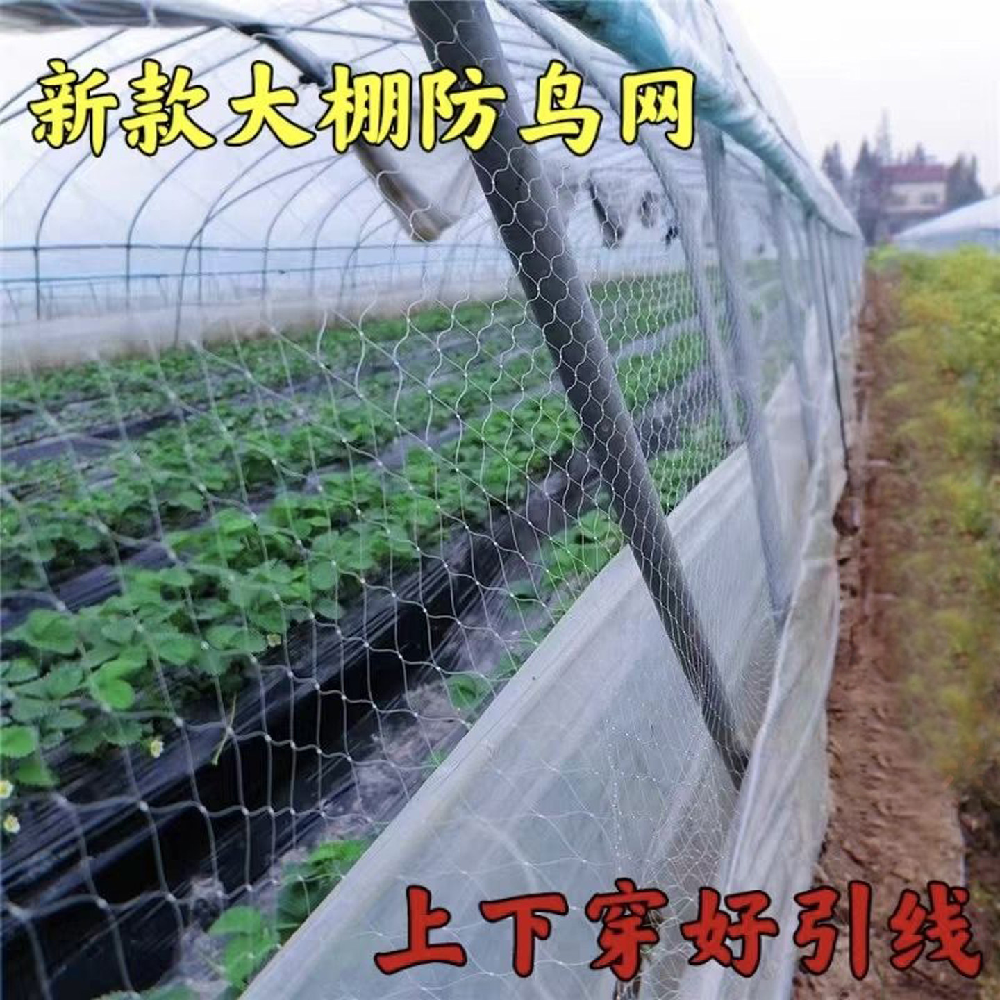 农用尼龙防鸟网果园鱼塘大棚