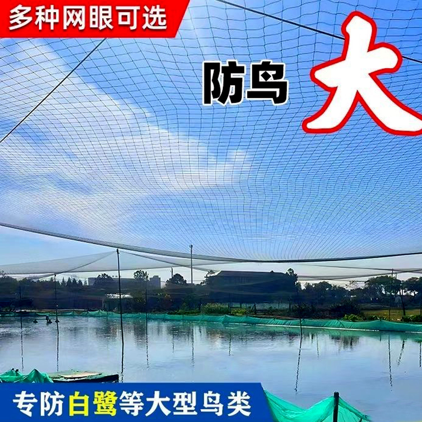 尼龙防鸟网阳台果园鱼塘天网