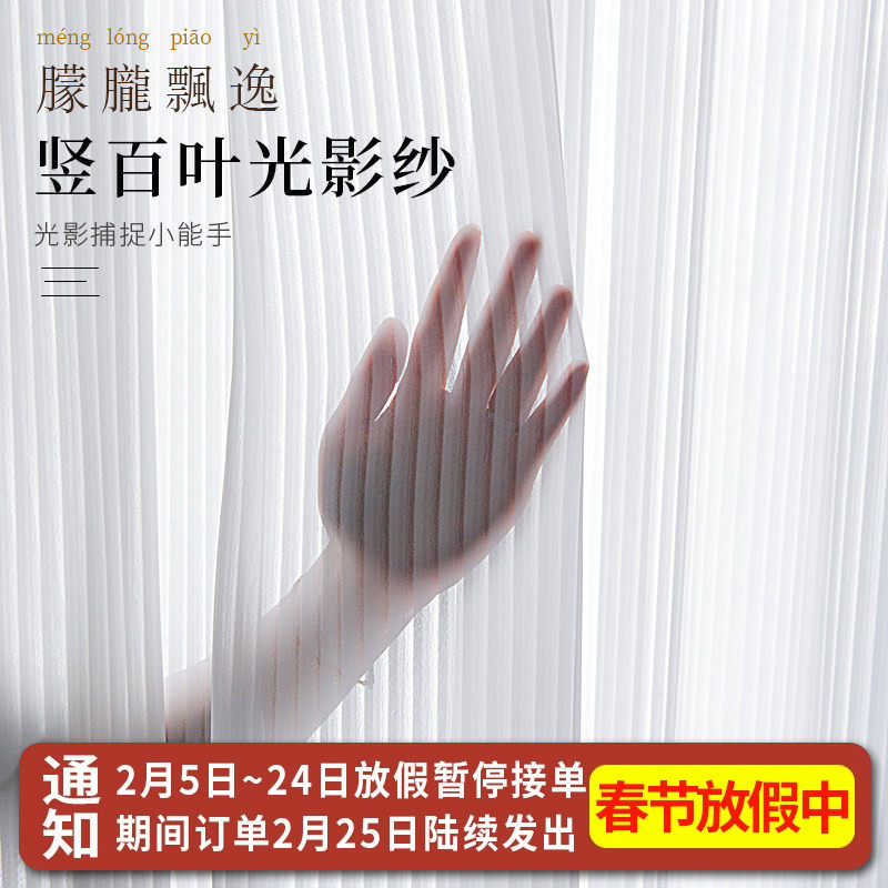 2025新款梦幻窗帘竖百叶纱帘卧室透光不透人窗纱白色阳台客厅定制