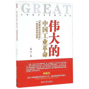 伟大的中国工业革命: