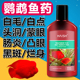 血鹦鹉鱼专用药烂身烂尾黑斑头洞蒙眼观赏鱼药万能疾病治疗白点净