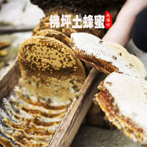 佛坪土蜂蜜250g 纯正农家自产土蜂蜜品质保证