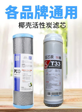 后置烧结活性碳滤芯10寸平口pco高碘值椰壳碳净水器滤芯第五级用