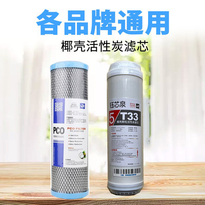 后置烧结活性碳滤芯10寸平口pco