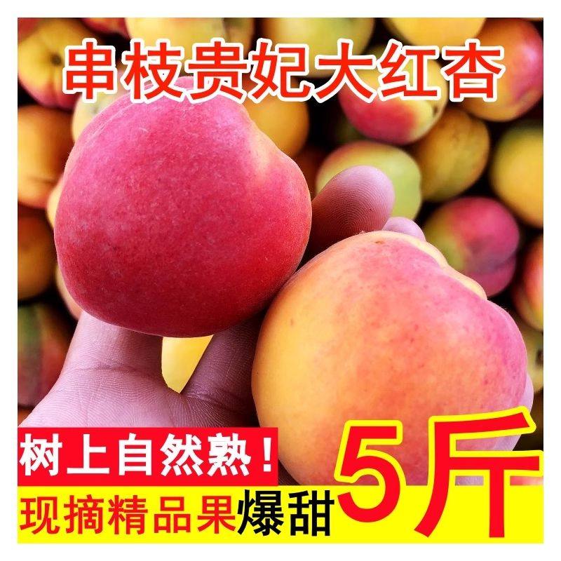 河北大红杏当季新鲜水果杏子整箱脆酸甜黄杏孕妇贵妃酸杏5斤包邮,水产肉类/新鲜蔬果/熟食,杏,淘宝优惠券,粉丝福利购,淘宝优惠卷