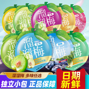 溜溜梅梅子蜜饯5包西梅话梅九制梅清梅雪梅绿茶梅果脯蜜饯大礼包