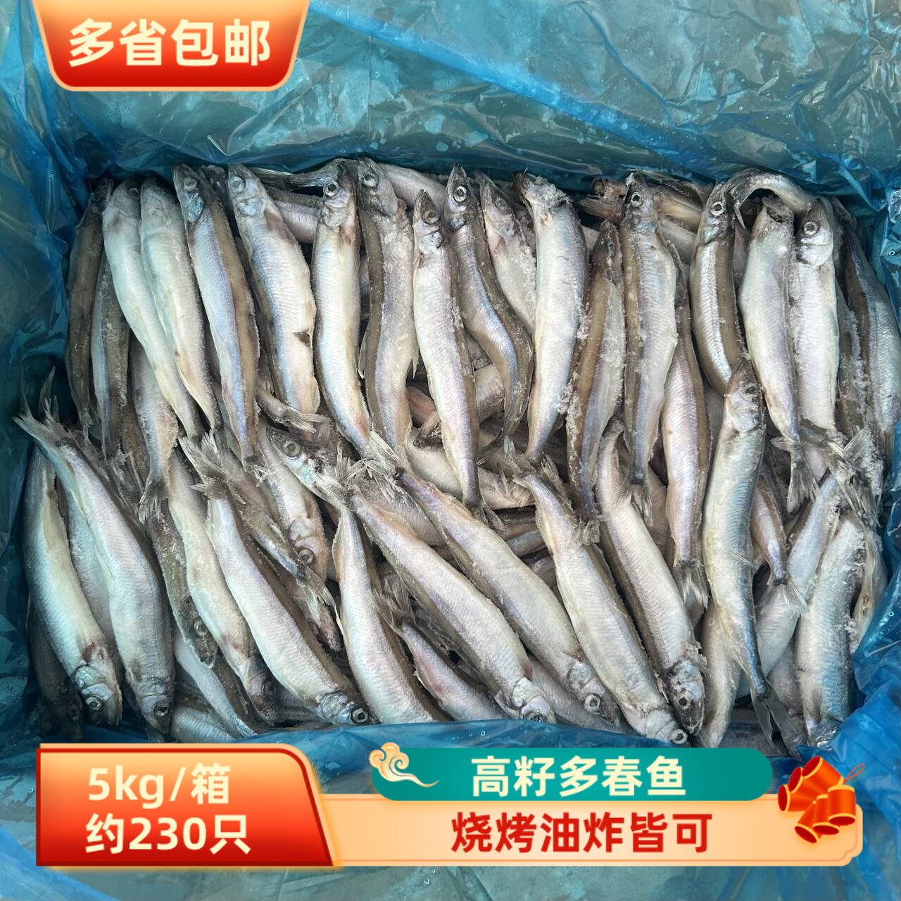 6L高籽带籽多春鱼烧烤食材